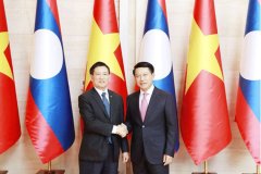 老越副总理会晤：加速互联互通项目，深化全面